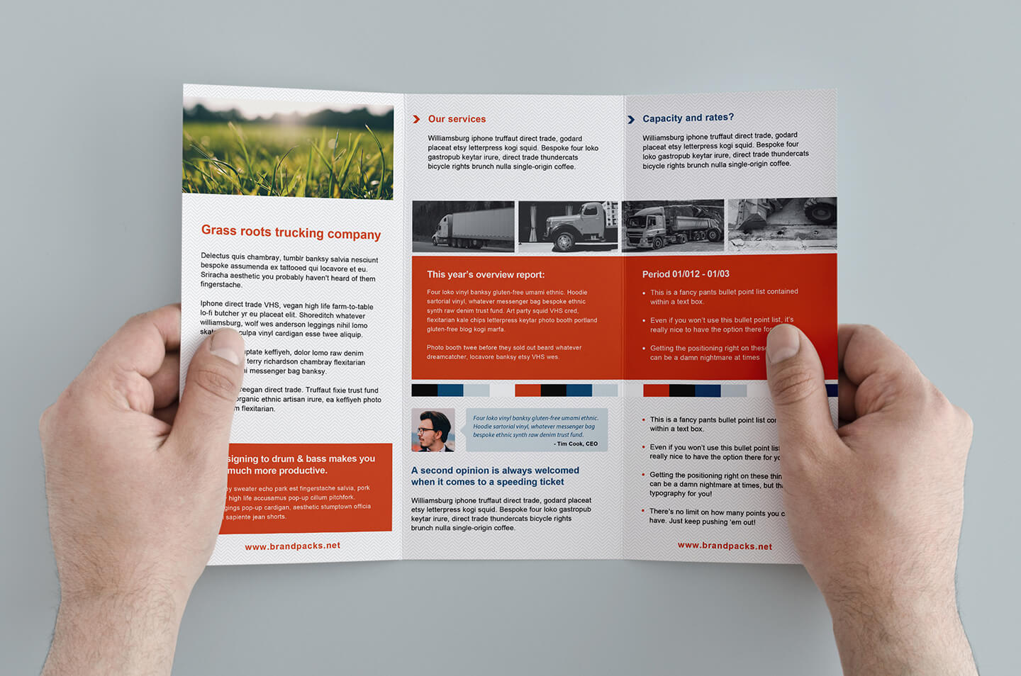 003 Template Ideas Free Corporate Trifold Brochure Tri Fold For Tri Fold Brochure Template Illustrator Free