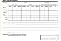 008 Sales Calls Report Template Format In Excel Free throughout Sales Visit Report Template Downloads