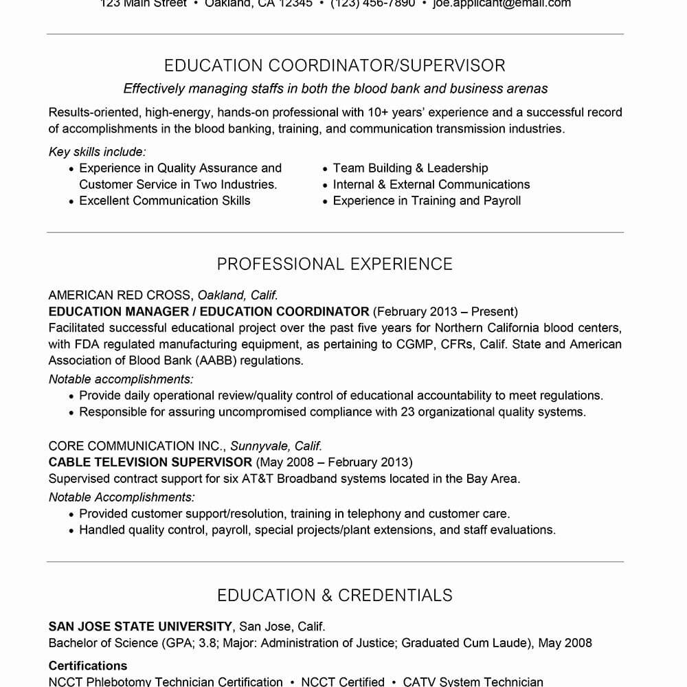 010 Combination Resume Template Word Remarkable Ideas Free With Combination Resume Template Word