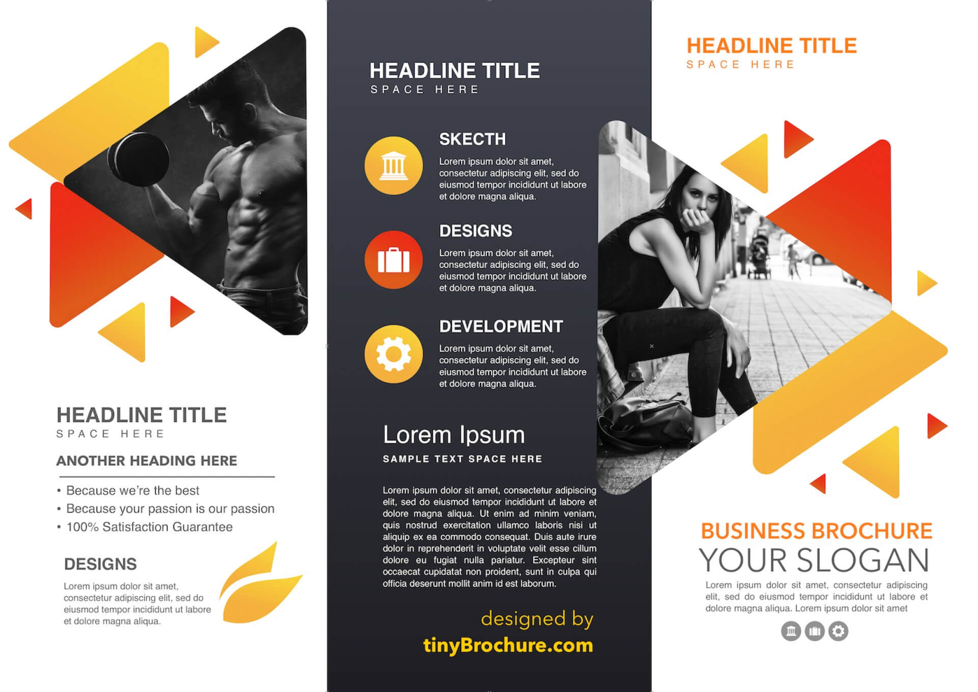 010 Google Docs Science Brochure Template For Luxury Tri Inside Science Brochure Template Google Docs