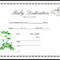 013 Appealing Official Birth Certificate Template Sample Regarding Baby Dedication Certificate Template
