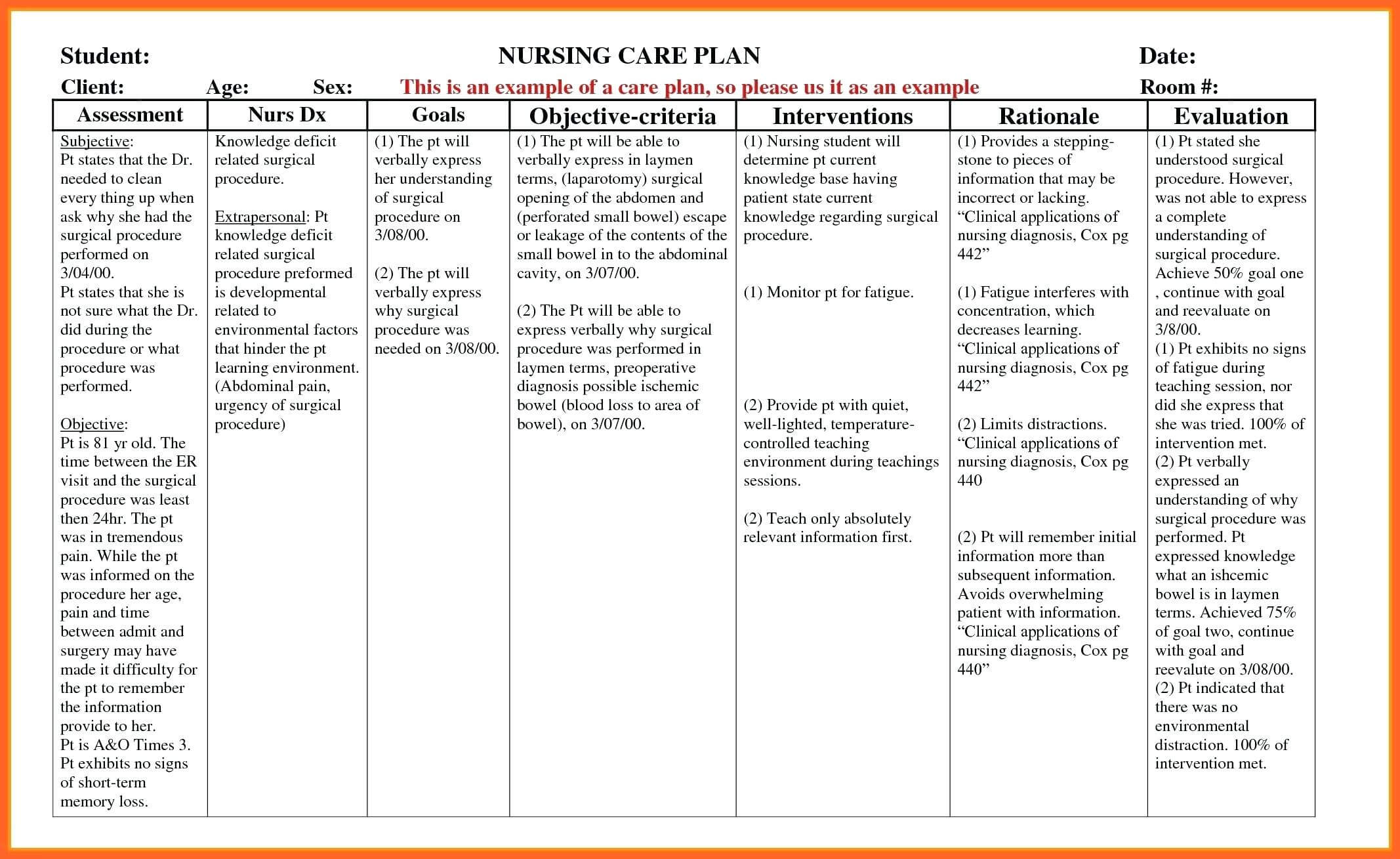 Nursing Care Plan Template Blank Magnificent Ideas Forms Inside My