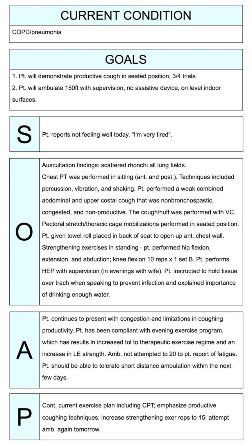 Blank Soap Note Template Professional Template Examples