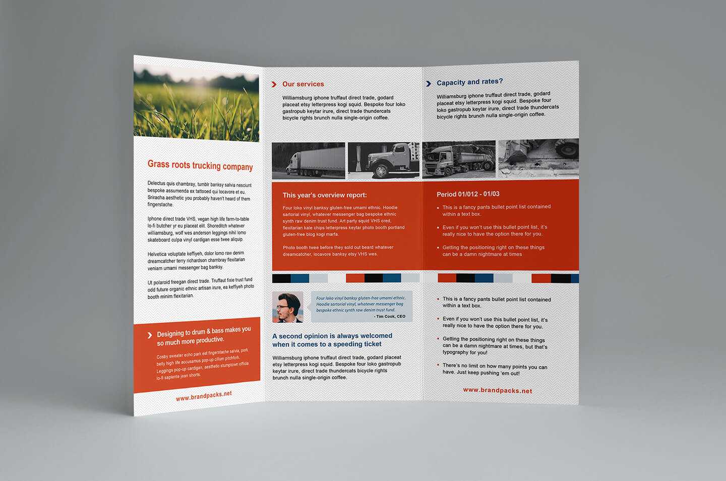 023 Free Trifold Brochure Template For Illustrator Tri Fold In Tri Fold Brochure Template Illustrator Free