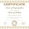 026 Award Certificate Examples Wording Template Ideas Awards In Softball Award Certificate Template