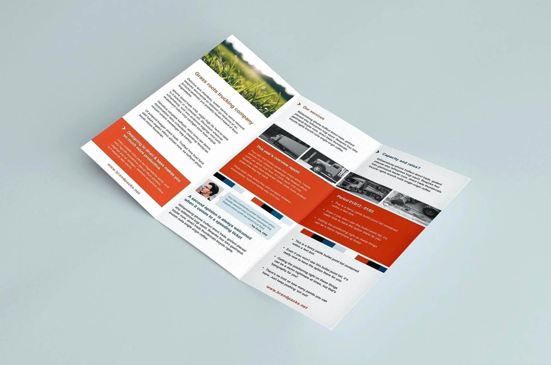 029 Tri Fold Brochure Template Publisher Elegant Microsoft Throughout Pop Up Brochure Template