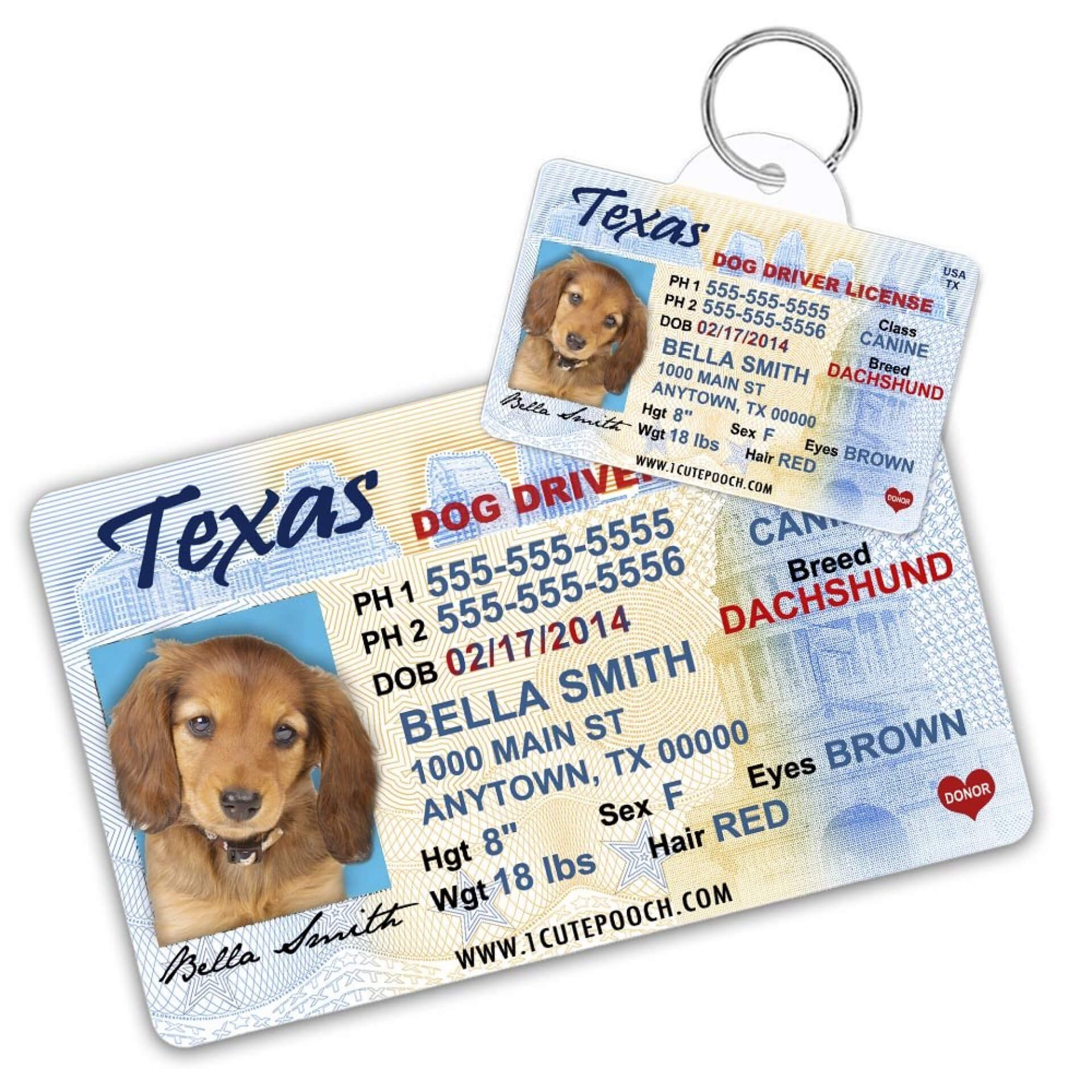 043 Printable Service Dog Id Card Template Staggering Ideas Throughout Texas Id Card Template