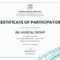 045 Certificate Of Participationemplate Or Word Doc With For Certificate Of Participation Template Word