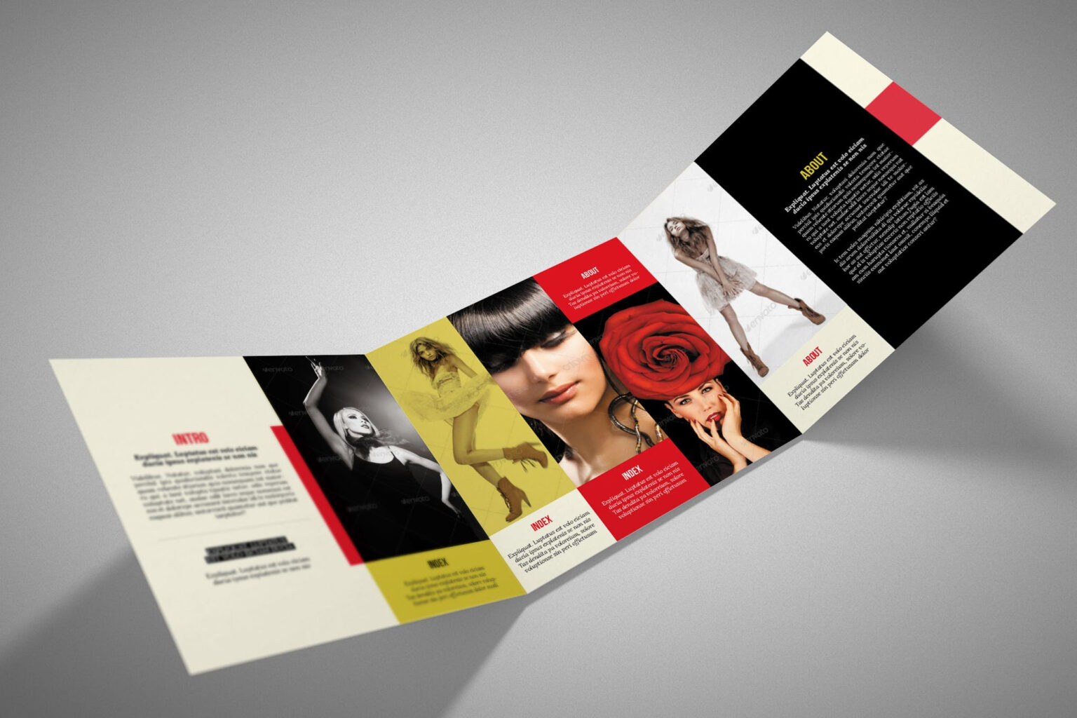 Adobe Indesign Tri Fold Brochure Template Professional Template Examples