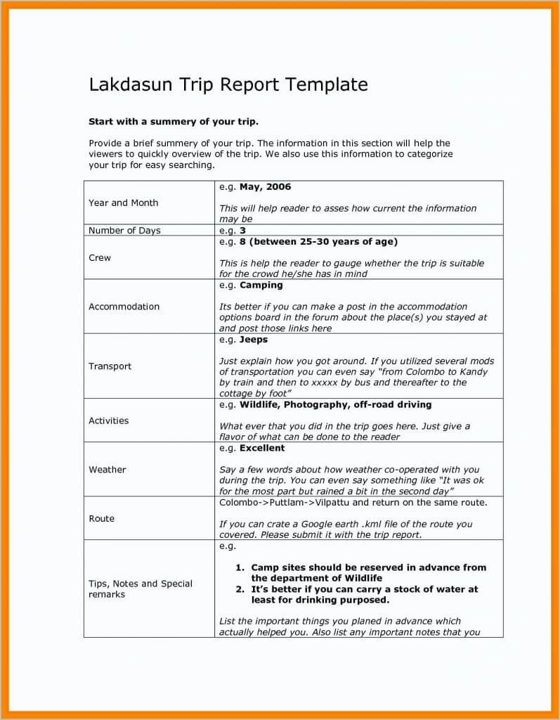 13 + Business Trip Report Examples - Pdf, Word, Apple Pages With Sales Trip Report Template Word