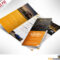 16 Tri Fold Brochure Free Psd Templates: Grab, Edit & Print Intended For Brochure 3 Fold Template Psd