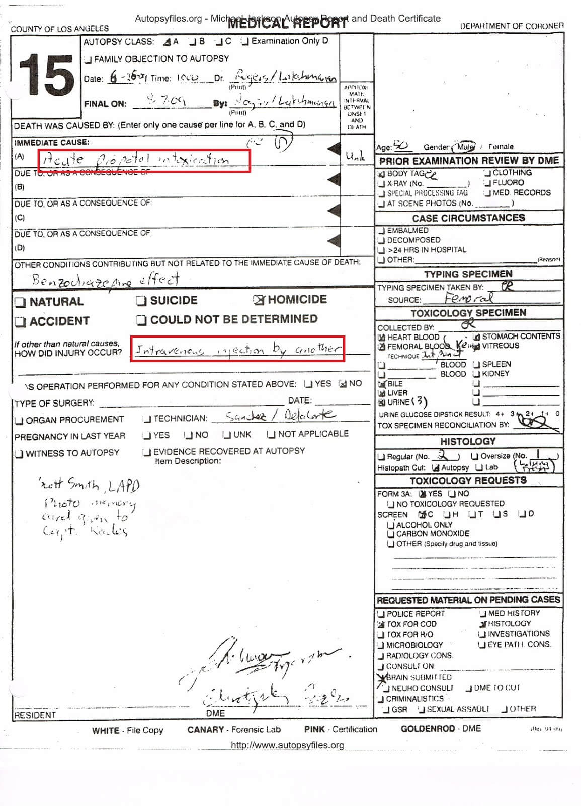 28+ [ Autopsy Report Template ] | Autopsy Report For Crime Within Blank Autopsy Report Template