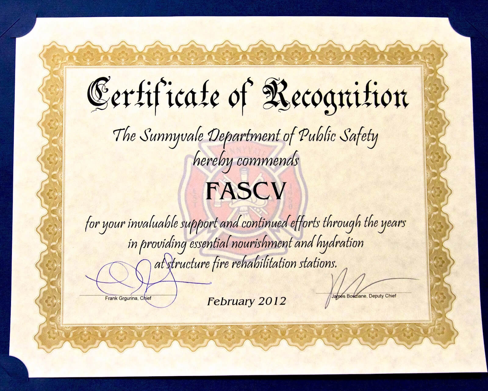 28+ [ Safety Recognition Certificate Template Regarding Safety Recognition Certificate Template