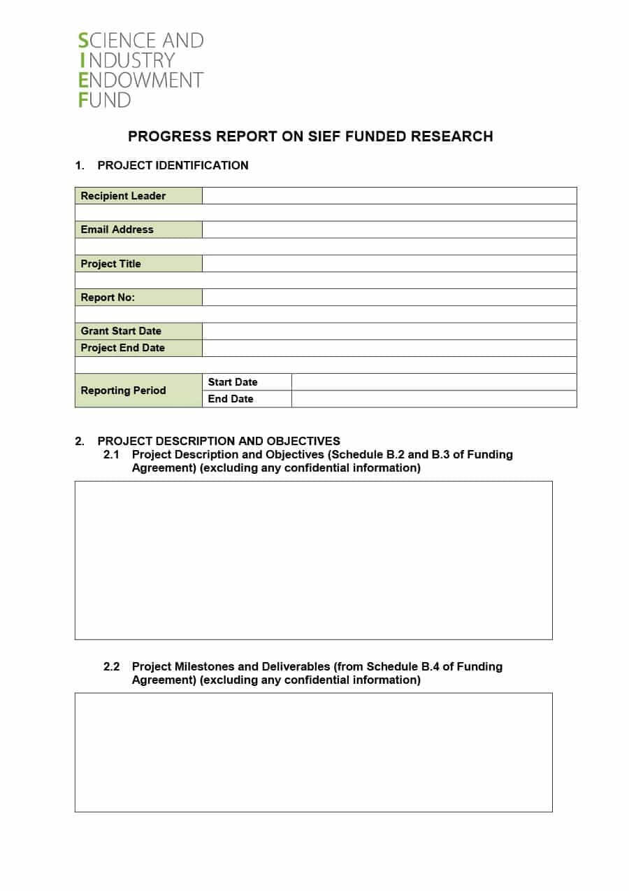 40+ Project Status Report Templates [Word, Excel, Ppt] ᐅ For Funding Report Template