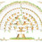 5 Generation Family Tree Template Tree Gallery | Blank Within 3 Generation Family Tree Template Word