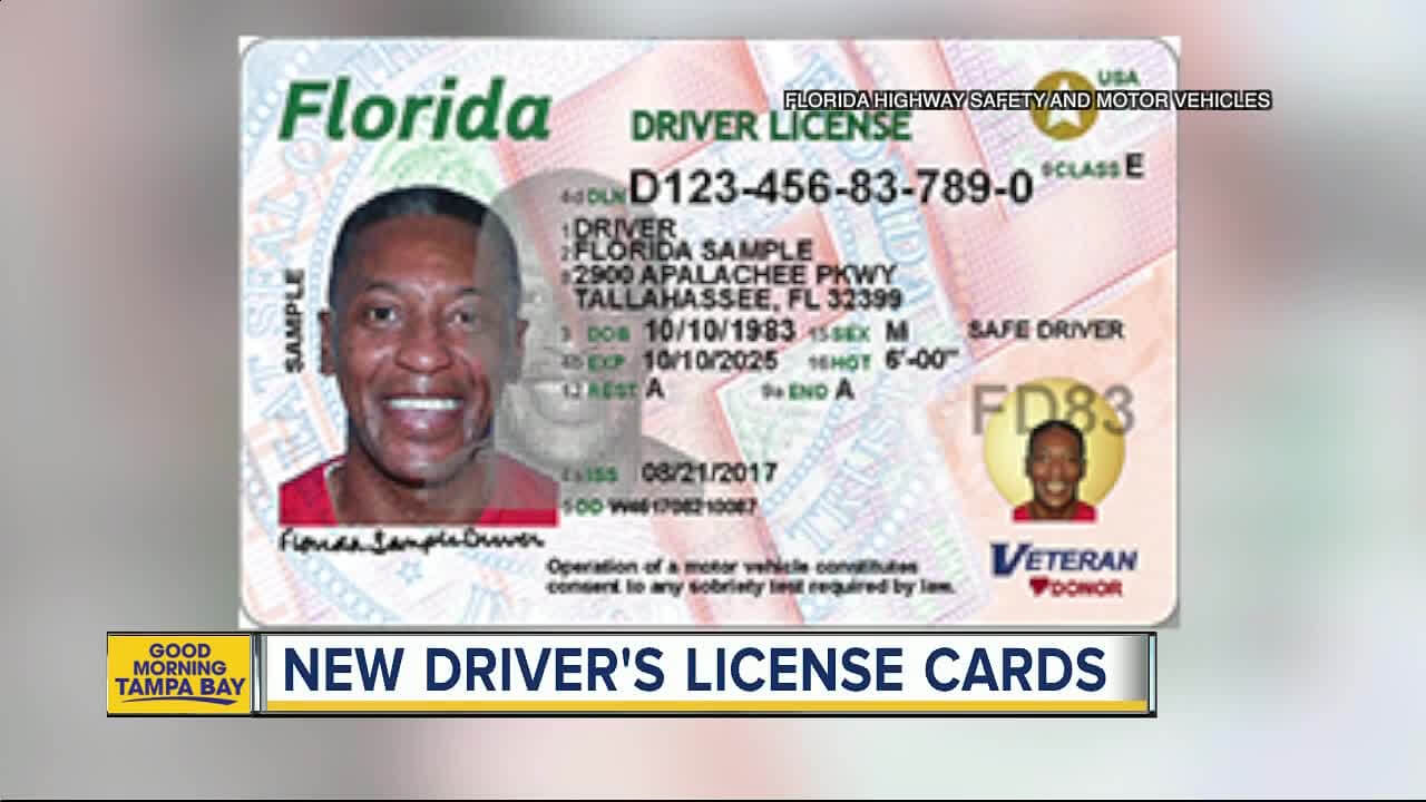 61A14 Florida Driver License Template | Wiring Resources Inside Florida Id Card Template
