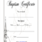 8C3E0 Certificate Of Baptism Template | Wiring Resources Within Baptism Certificate Template Word