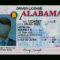 Alabama Driver License Template Throughout Blank Drivers License Template