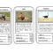 Animal Top Trumps Game – English Esl Powerpoints For Top Trump Card Template
