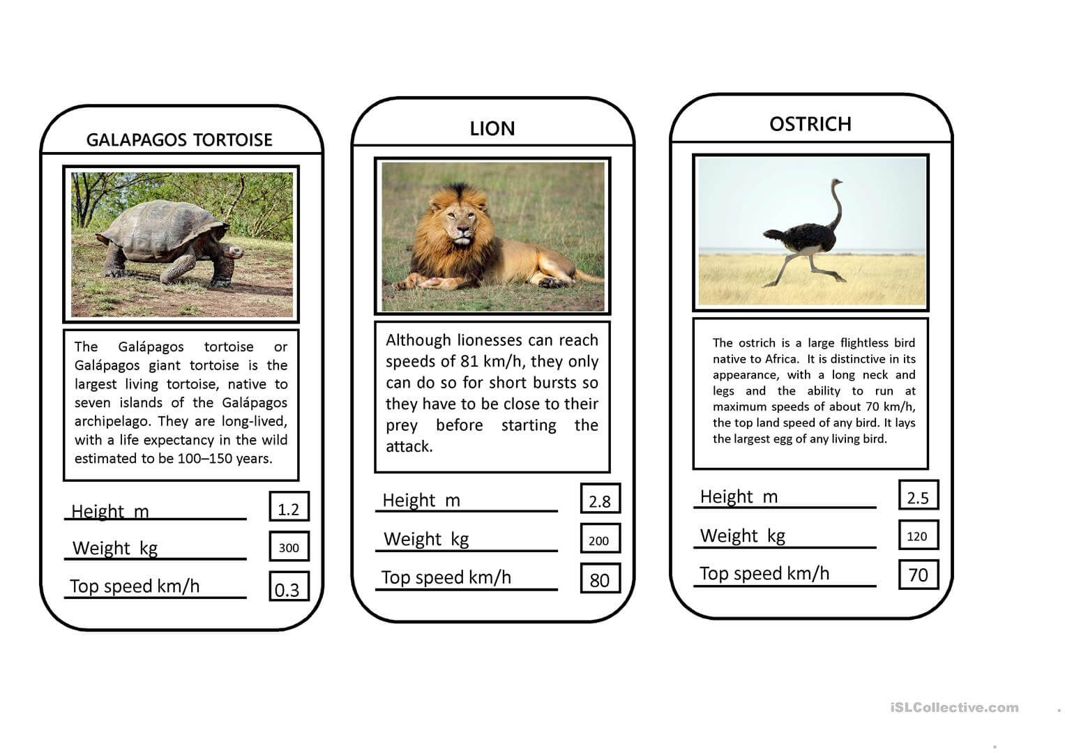 Animal Top Trumps Game – English Esl Powerpoints For Top Trump Card Template