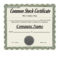Best 3+ Stock Certificate Template Format Excel – You With Regard To Template Of Share Certificate