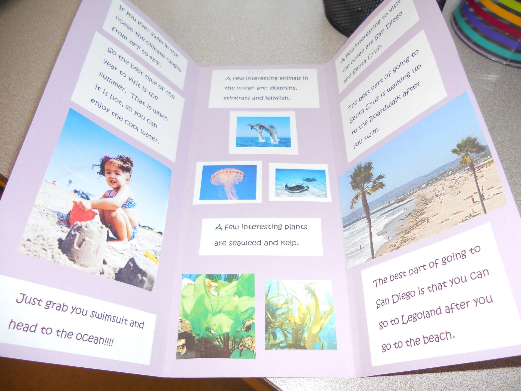 Biome Travel Brochure Travel Brochure Science Classroom Within 