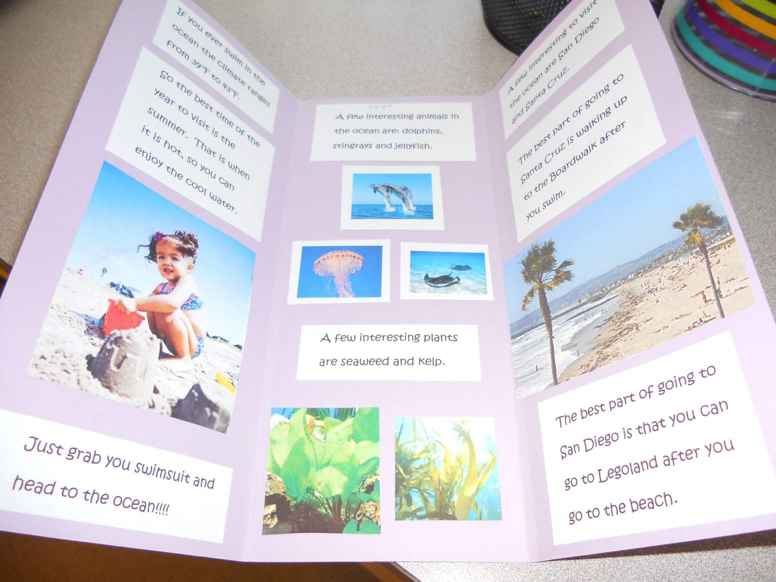 Biome Travel Brochure | Travel Brochure, Science Classroom Within Brochure Templates For School Project