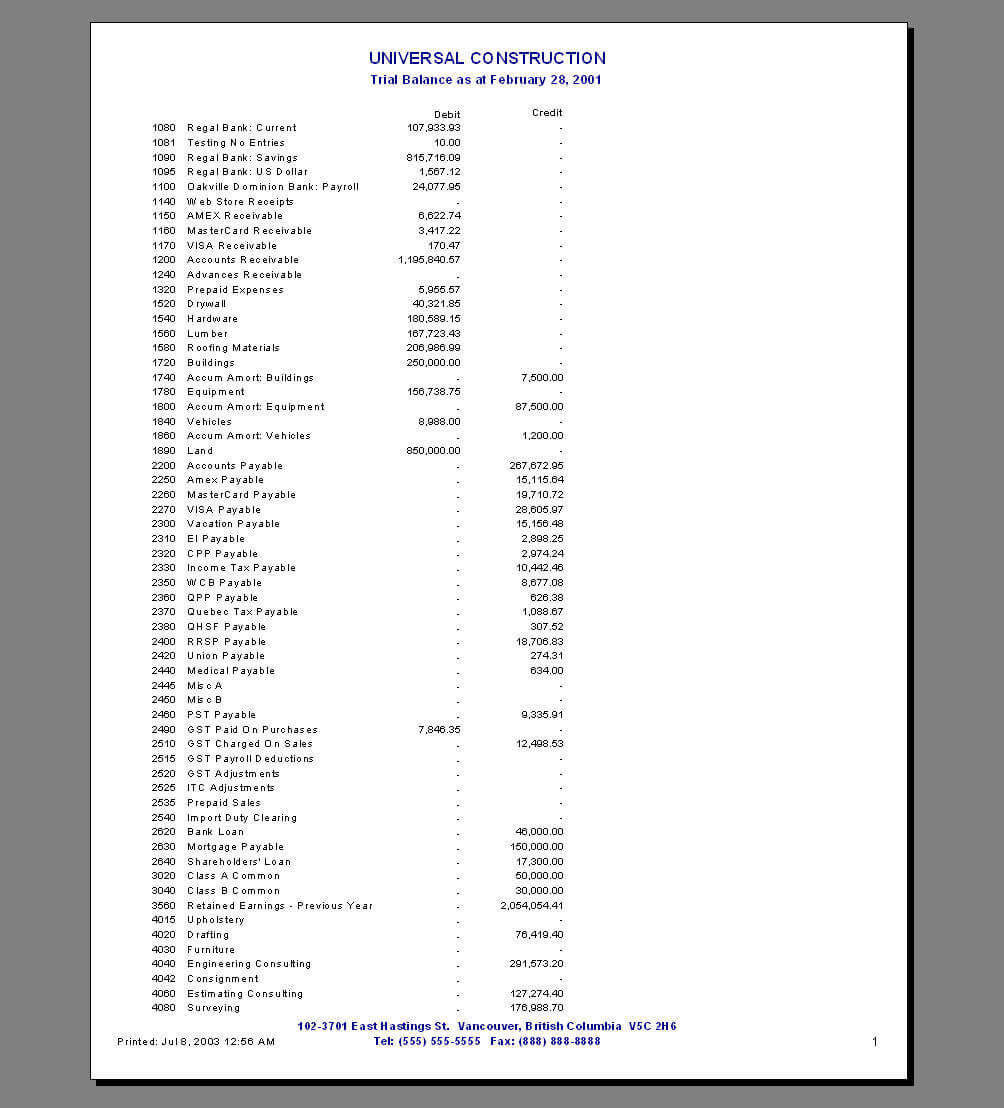 Bizman Income Statements Pertaining To Trial Report Template