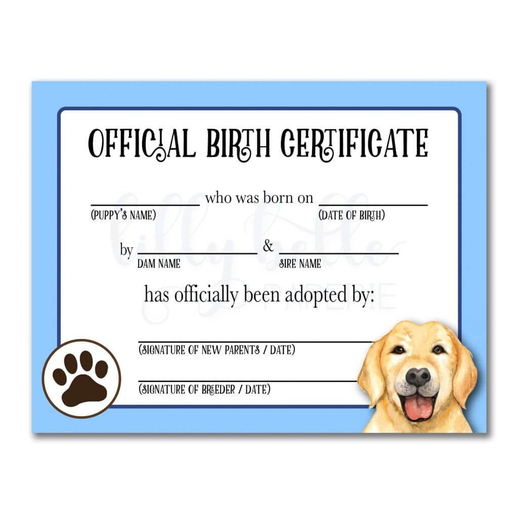 Blue Golden Retriever Birth Certificate | Birth Certificate Within Pet Adoption Certificate Template