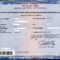 Born In Ohio And Need A Copy Of Your Birth Certificate Fast With Novelty Birth Certificate Template