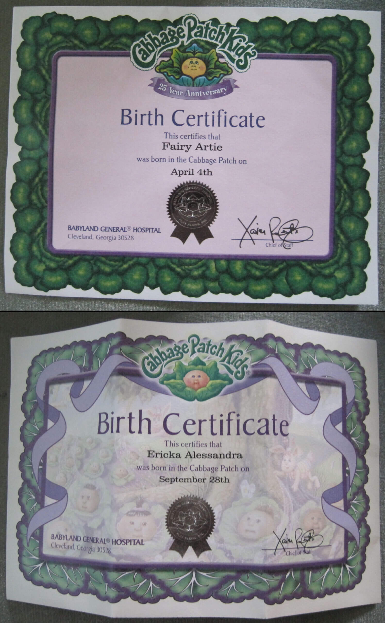 Cabbage Patch Kids Adoption Certificate | Birth Certificate In Baby Doll Birth Certificate Template