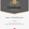 Certificate Background Png – Training Certificate Of With Iq Certificate Template