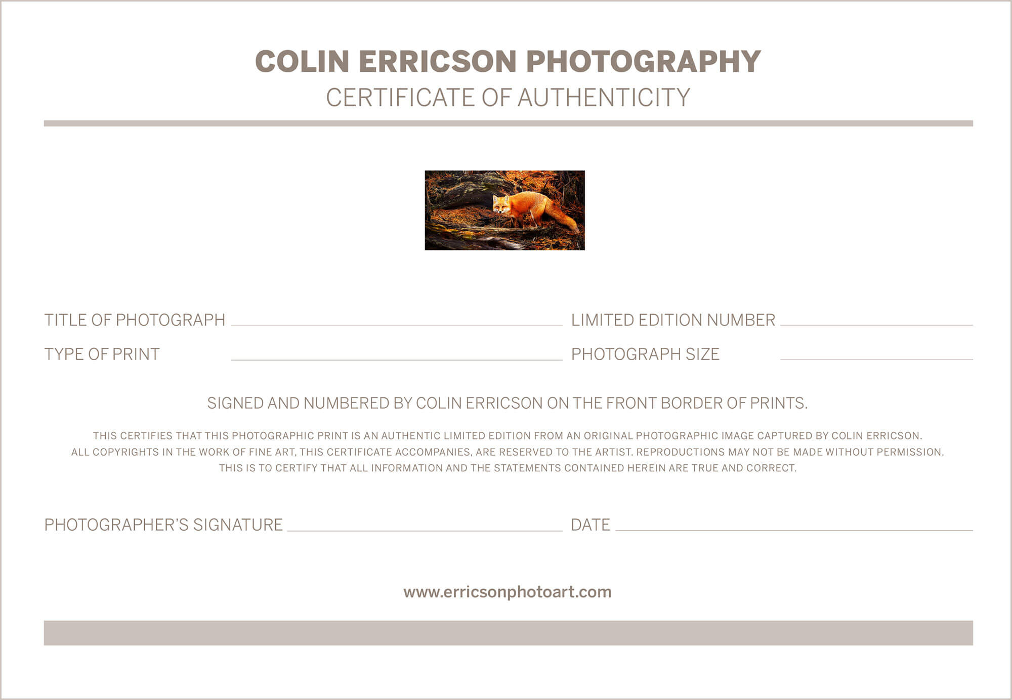 Certificate Of Authenticity Photography – Printable Receipt Inside Photography Certificate Of Authenticity Template