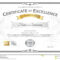 Certificate Of Excellence Template With Gold Award Ribbon On Intended For Award Of Excellence Certificate Template