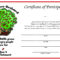 Certificate Of Participation – Year 2 (New Testament); Print In Free Vbs Certificate Templates