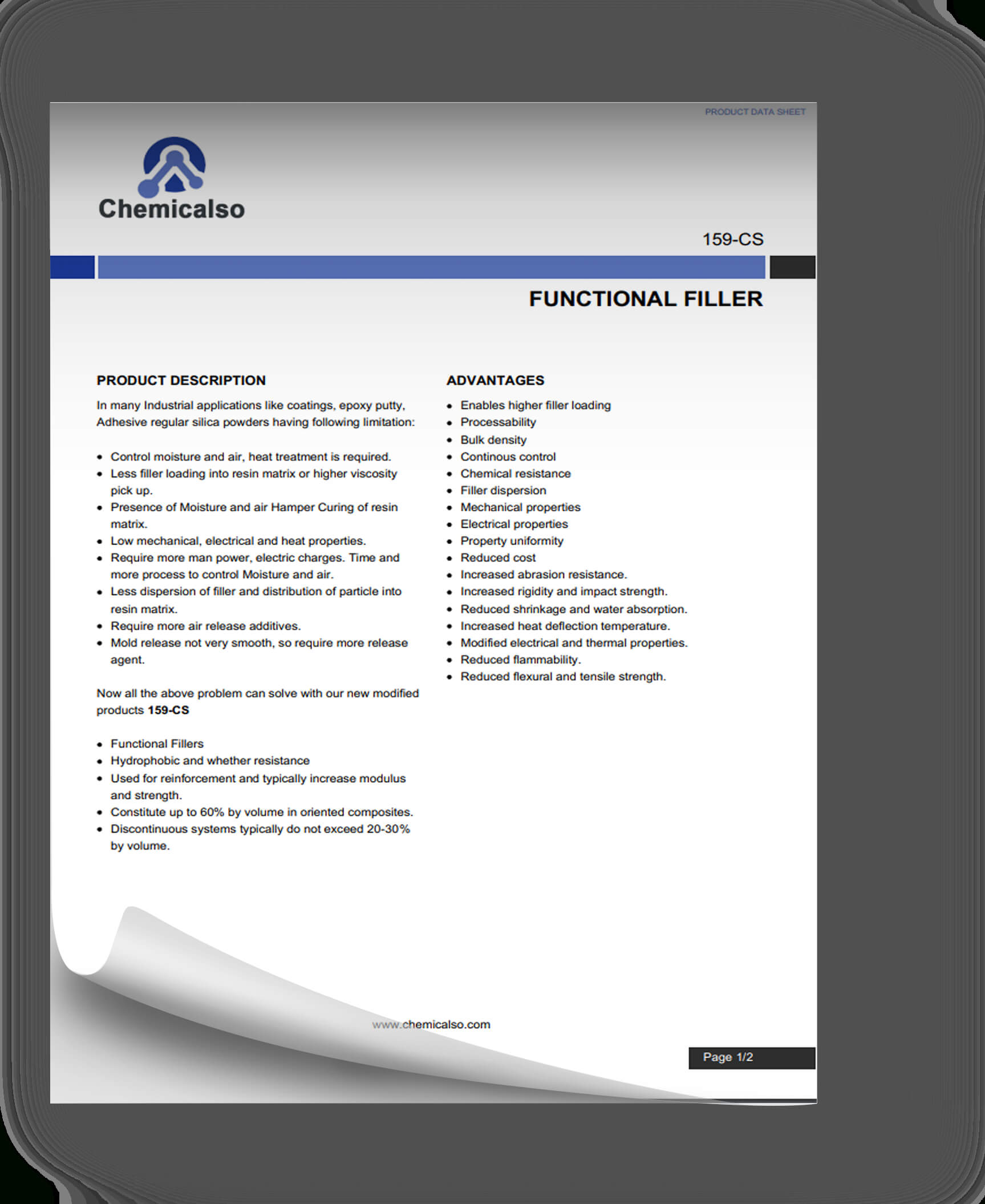 Chemical Filler Datasheet Template Professional And Within Datasheet Template Word