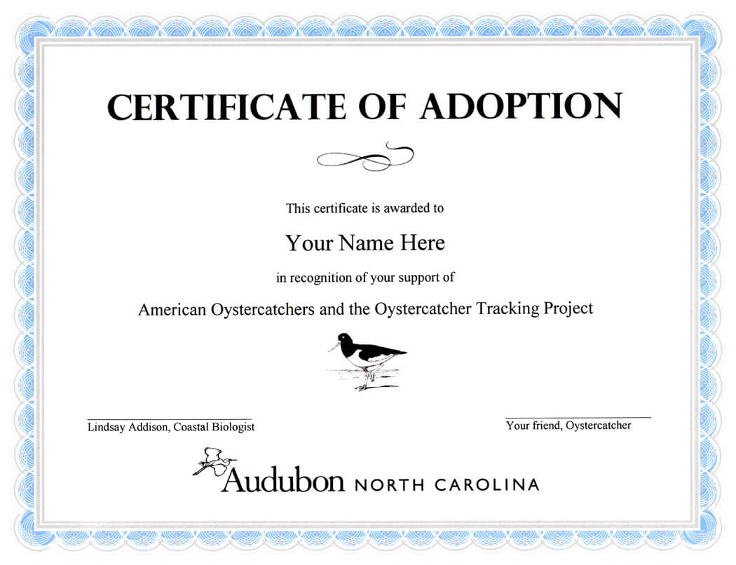 Child Adoption Certificate Template | Sample Resume For With Regard To Adoption Certificate Template
