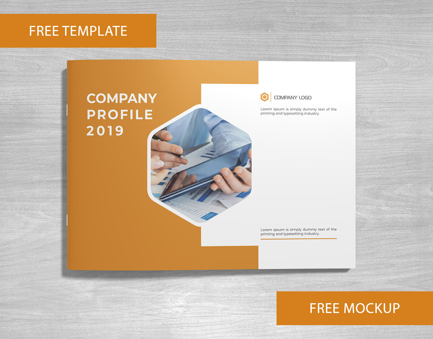 Company Profile Free Template And Mockup Download On Behance For Free Brochure Template Downloads