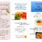 Dash Diet Brochure | Nutr 360 In Nutrition Brochure Template