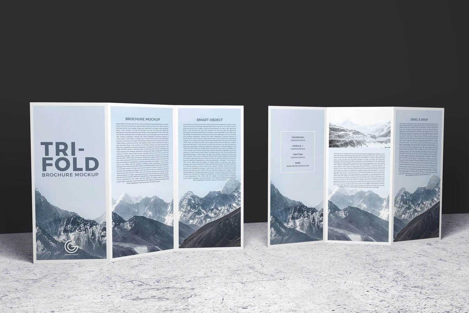 Double Sided Tri Fold Brochure Psd Mockup | Brochure Template In Double Sided Tri Fold Brochure Template