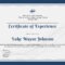 ❤️free Printable Certificate Of Experience Sample Template❤️ With Regard To Certificate Of Experience Template