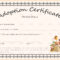 Editable Adoption Certificates Hadipalmexco Child Adoption Regarding Blank Adoption Certificate Template