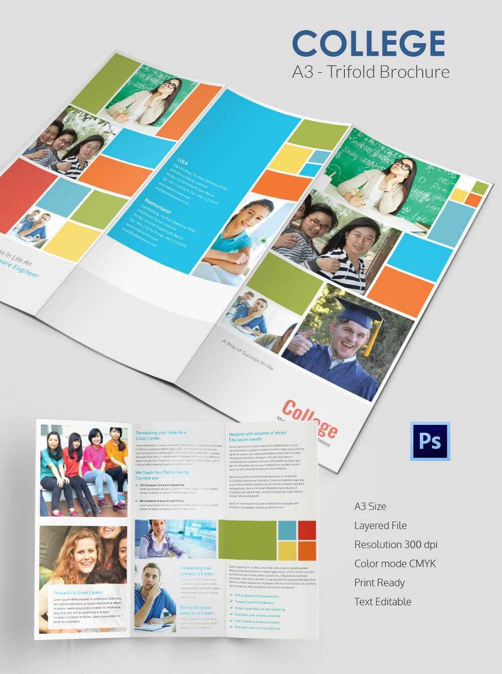 Elegant College Tri Fold Brochure Template | College Throughout Tri Fold School Brochure Template