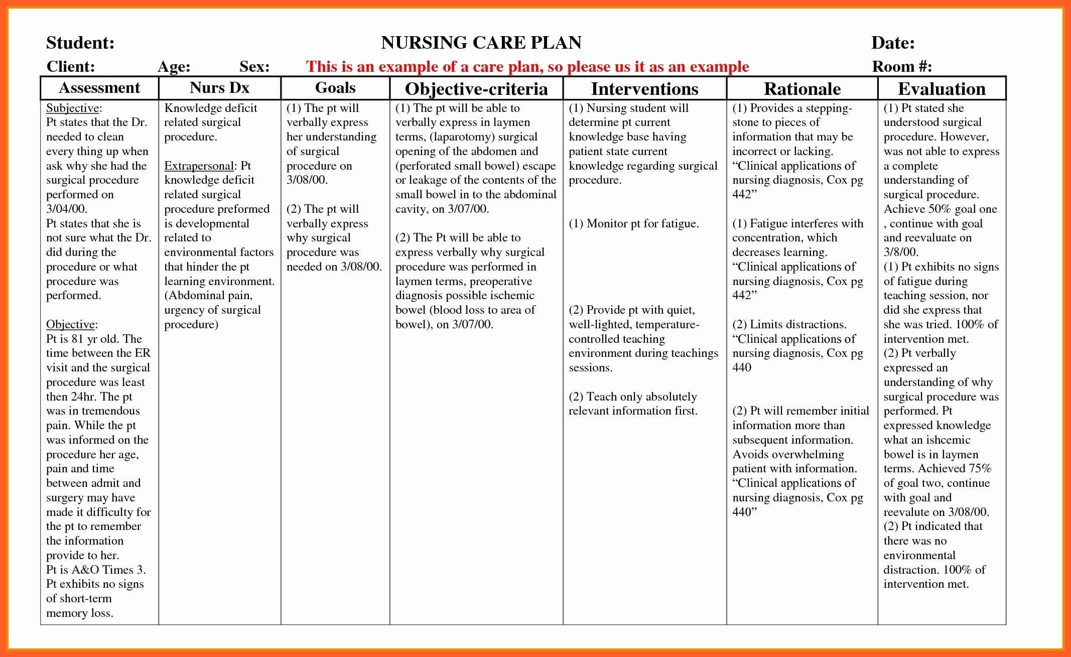 Example Care Plan Template For Elderly Nursing Home Throughout Nursing Care Plan Template Word