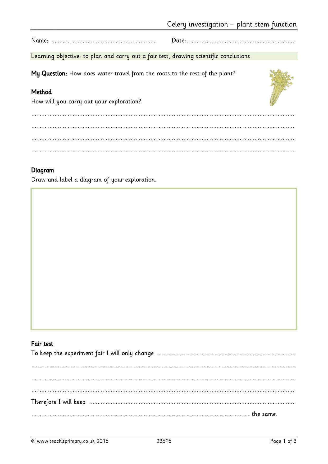 Eyfs | Ks1 | Ks2 | Investigations | Teachit Primary With Regard To Science Report Template Ks2