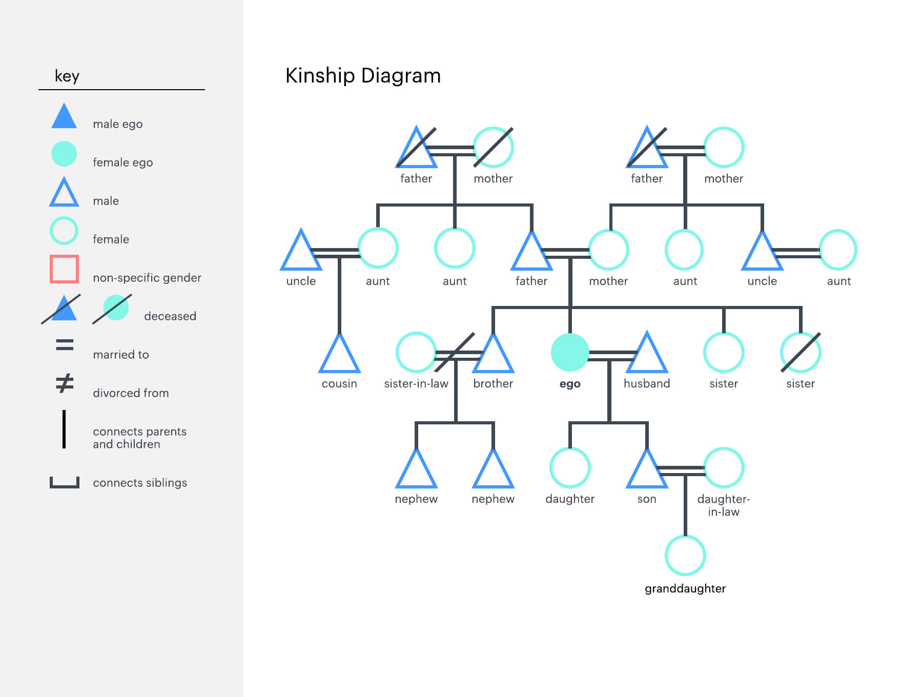 Family Tree Diagram – User Guide Of Wiring Diagram Intended For Blank Tree Diagram Template