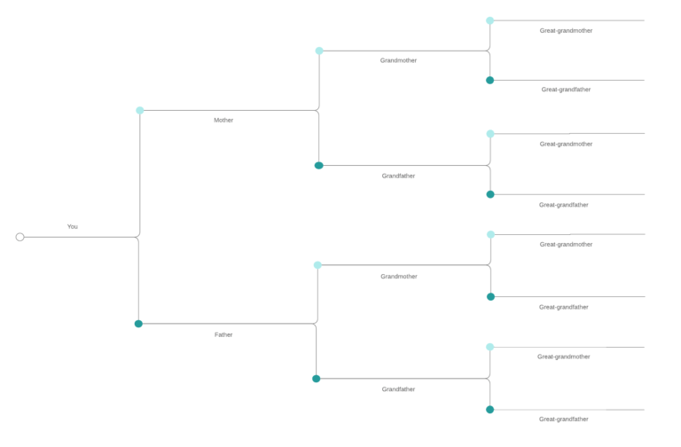 Blank Tree Diagram Template - Professional Template Examples