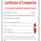 Fire Extinguisher Certificate - Fill Online, Printable within Fire Extinguisher Certificate Template