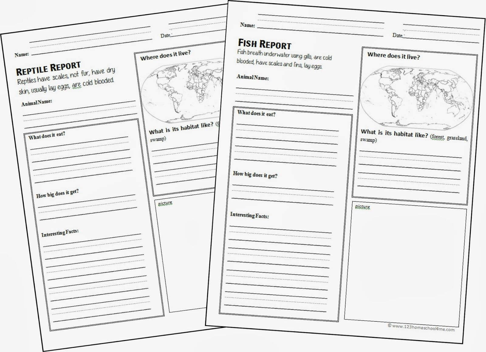 Free Animal Report Form Printable | Report Template, Grade 1 For Animal Report Template