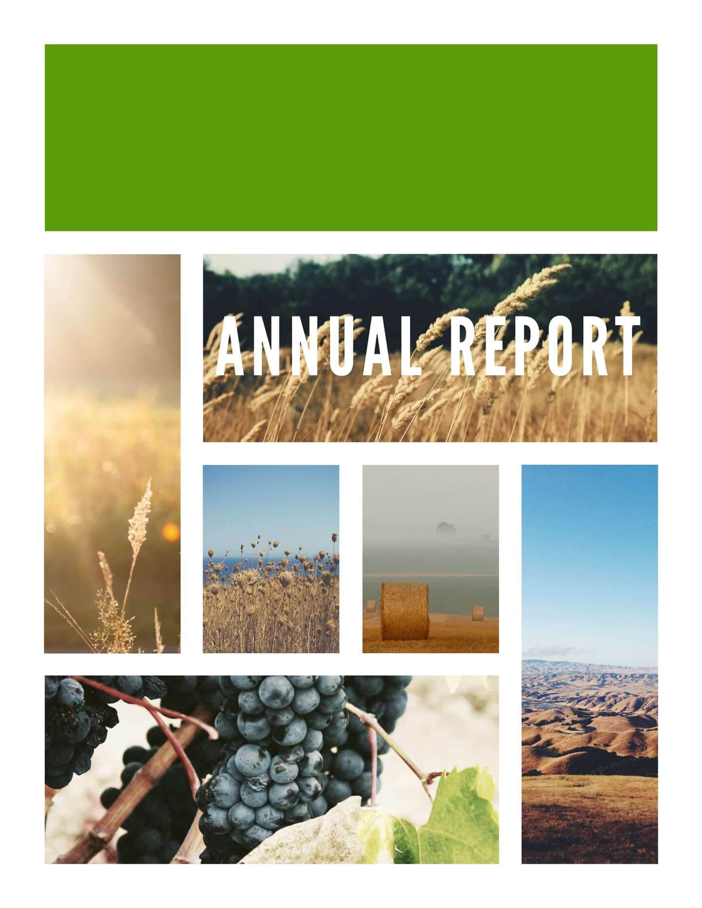 Free Annual Report Templates & Examples [6 Free Templates] Within Annual Report Template Word Free Download